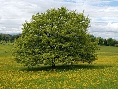 Montaj fototapet Bucuresti, ablo.ro (850)