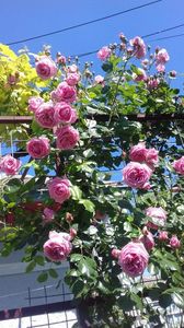 20190526_110339(0)