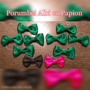 Bow ties for pigeons; Papioane porumbei
