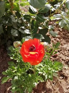2019-28.05