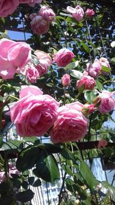20190529_115625(0)