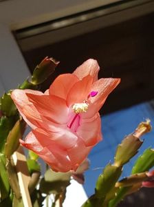 thumbnail - 2019-05-25T194353.567