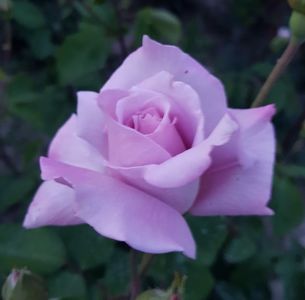 20190529_210841 (2)
