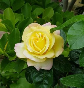 20190518_175201 (2)