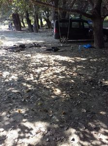 IMG-20190602-WA0074