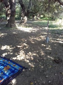 IMG-20190602-WA0073