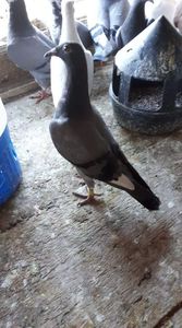 received_1715764818569801