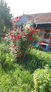 received_686865535079835