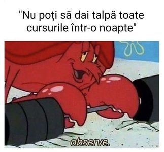 5E7AA4A1-D46B-42BC-8EA5-F0A29108F523