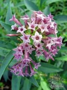 images (15)