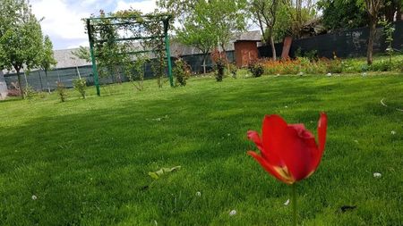 IMG-20190607-WA0004