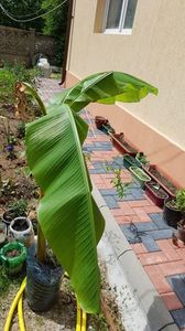 IMG-20190607-WA0010