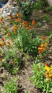 IMG-20190607-WA0019