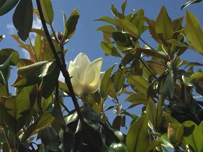 F72E0C95-A8B6-4E06-9804-BF377965B0CB