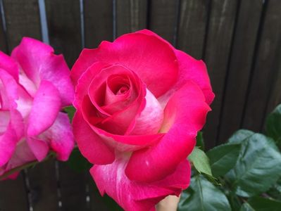 475122FD-D9F5-4FFB-8FAE-FEF3C0562DCF