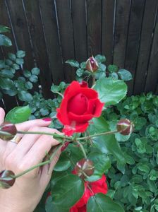 07B05850-8CB4-487F-984A-B0C4C5BFA580