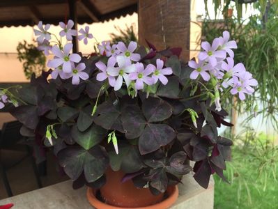 252AF2C3-29BD-44A1-B18B-2DF09C37622A