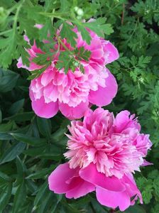 28017E9C-1DB9-4CBD-9C3F-282480504833