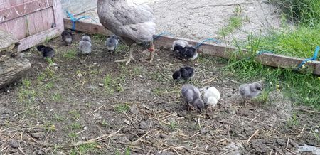 20190609_145455(0)