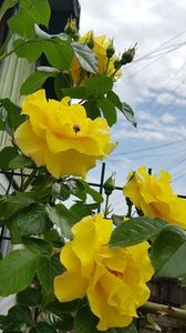 20190518_142953 (2)