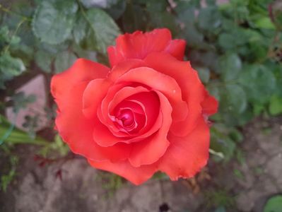 20190518_142953 (3)