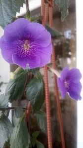 IMG-20190614-WA0004