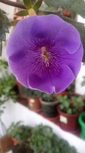IMG-20190614-WA0002