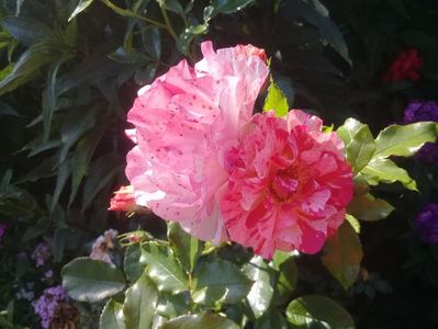 20190614_182501(0)