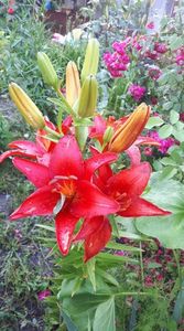 received_2058424221133036