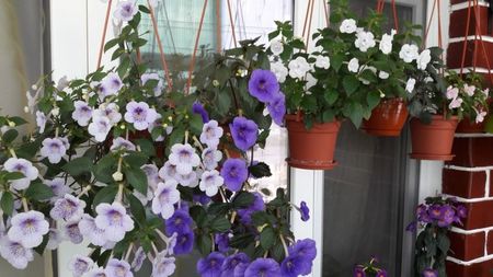 20190622_143331(0)