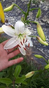 received_2302964169784400