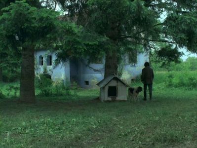 Castelul Din Carpati