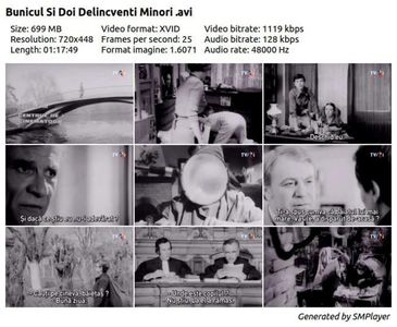 Bunicul Si Doi Delincventi Minori