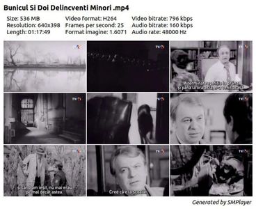 Bunicul Si Doi Delincventi Minori