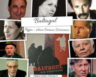 Baltagul