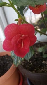 IMG-20190628-WA0009