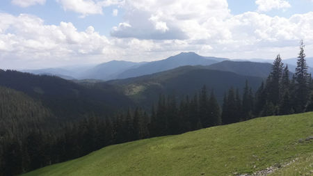 Transrarăul.