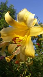 received_879426145726835