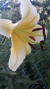 received_327220061531475