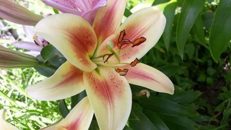 received_2269046583360649