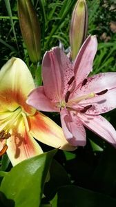 received_1331705063669363