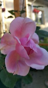 received_725654291199394