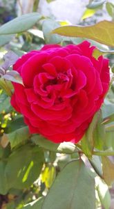 received_358303944867519