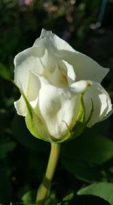 received_457784808345119