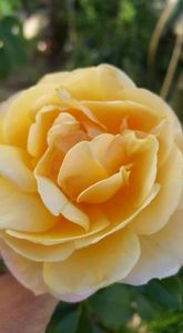 received_2389362634456593