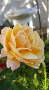 received_1203306116507596