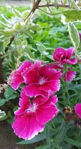 received_902870973393367