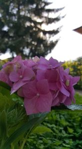 received_535720996964443