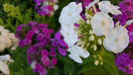 received_479887042747121