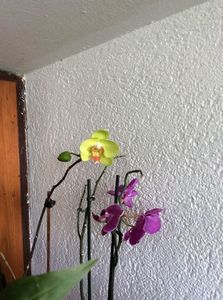 La aer în balcon :)